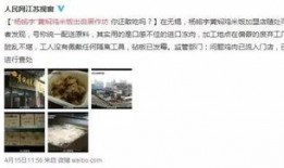 黄焖鸡事件爆料视频播放,揭秘网络爆料的真相与影响